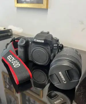 stock