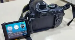 stock