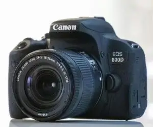 stock