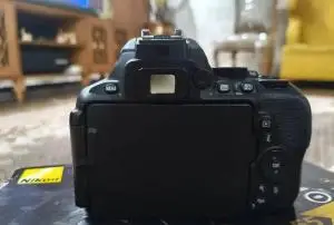 stock