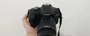 stock