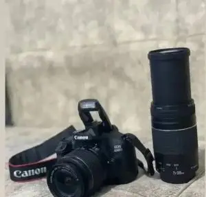 stock