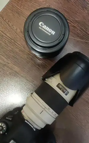 stock