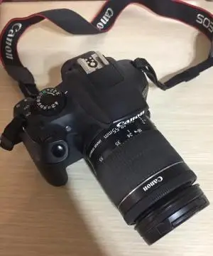 stock