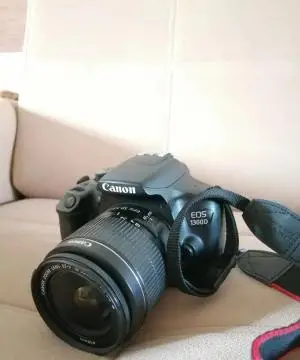 stock