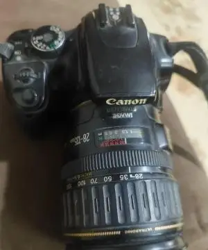 stock