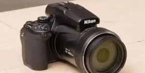 stock