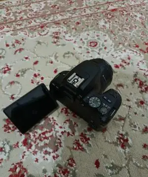stock