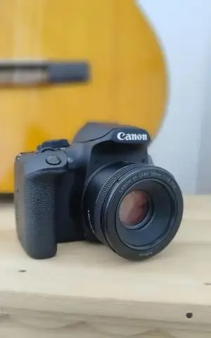 stock