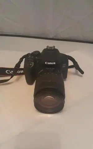 stock