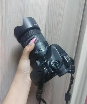 stock