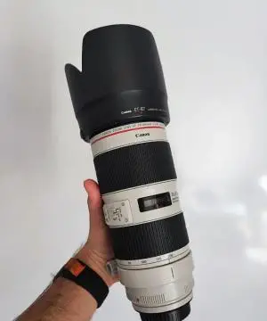 stock