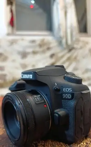 stock