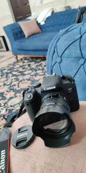 stock