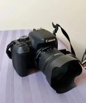stock