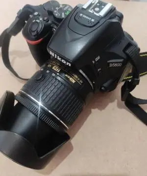 stock