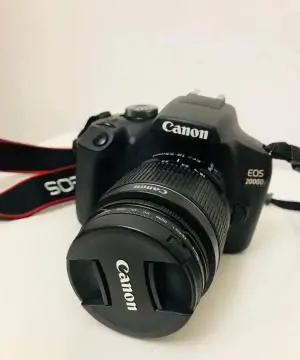 stock