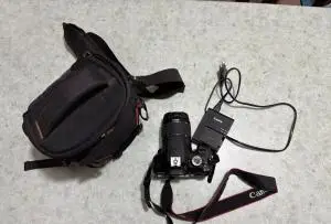stock