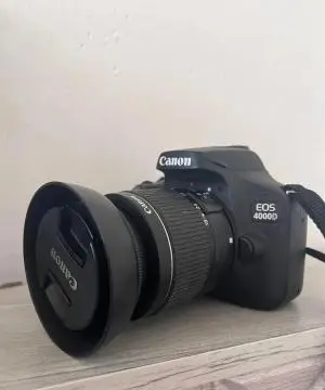 stock