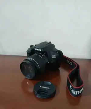 stock
