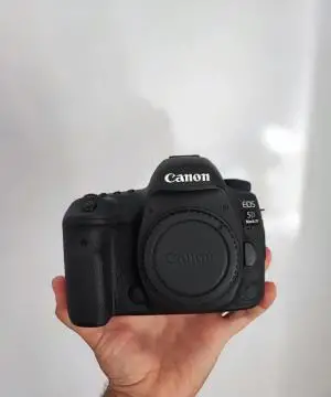 stock