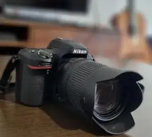 stock