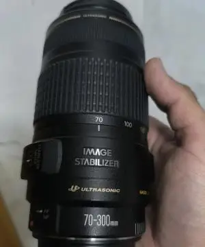 stock