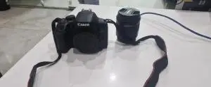 stock