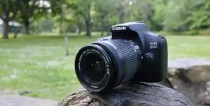 stock