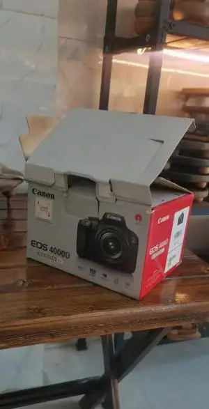 stock