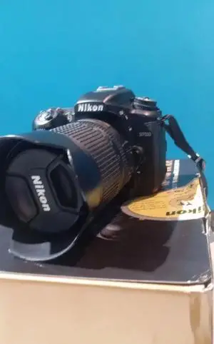 stock