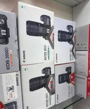 stock