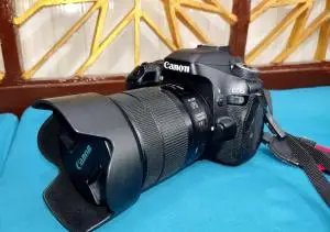 stock