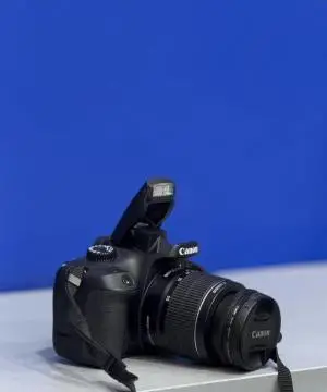 stock