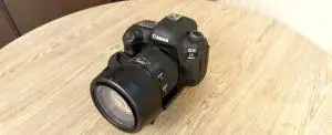 stock
