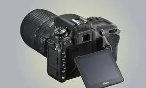 stock