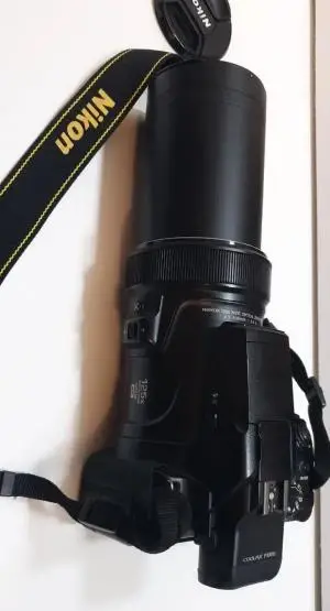 stock
