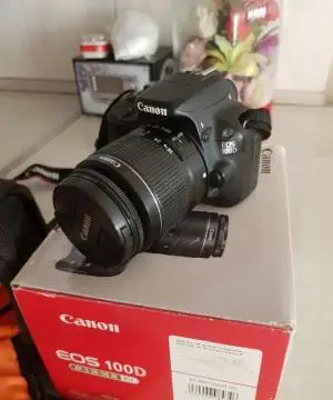 stock