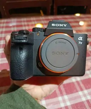 stock