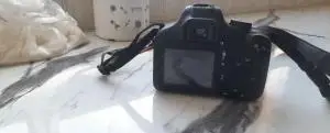 stock