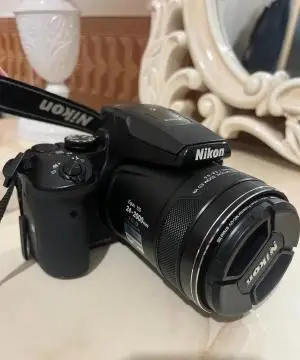 stock
