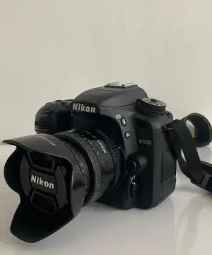 stock