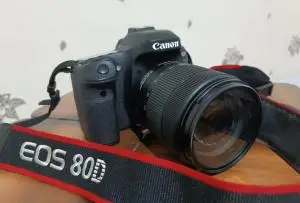 stock