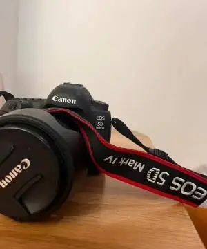 stock