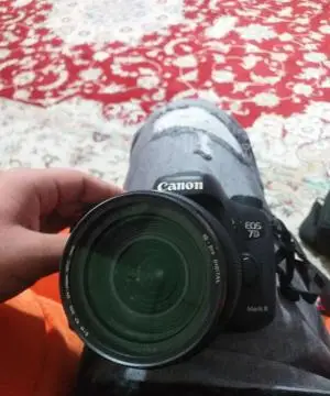 stock
