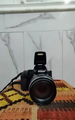 stock