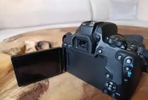 stock