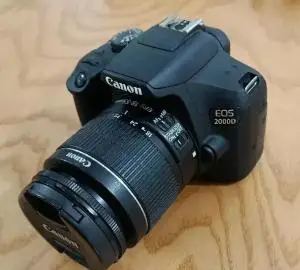 stock