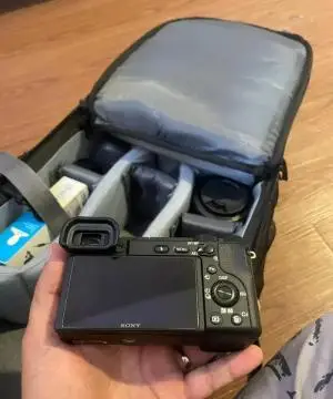 stock