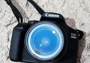 stock